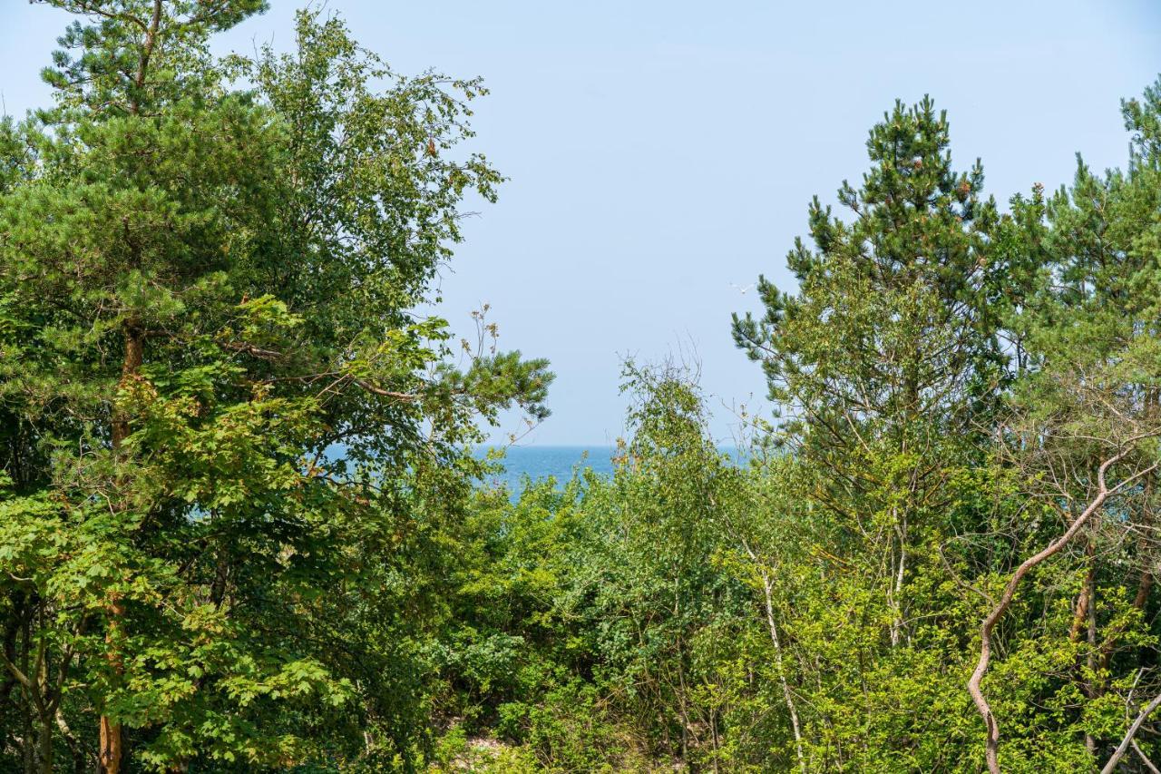 Natural Apartamenty Darlowko Εξωτερικό φωτογραφία